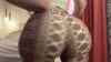 3yjWVfwf 720p