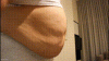 Ending Portion of Stuffed Beer Bloat 